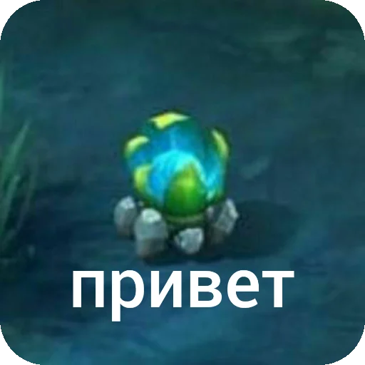 вазон | тгк --> @unable212 - 