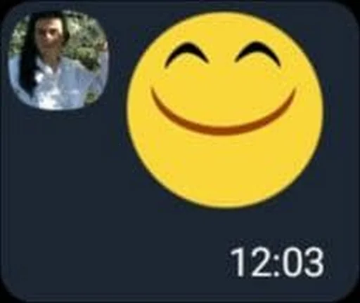 Sticker vchyteli - 11