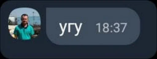 Sticker vchyteli - 7