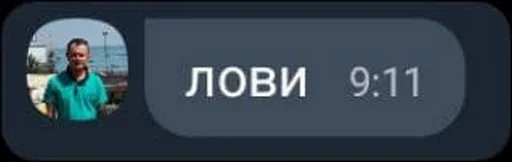 Sticker vchyteli - 3