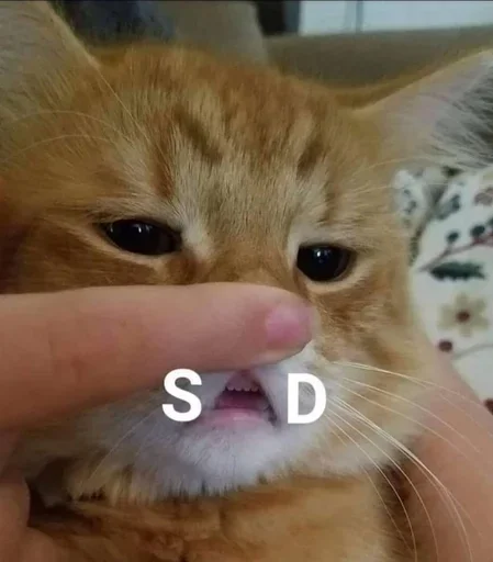 Sticker 🤠 by @fStikBot - 11