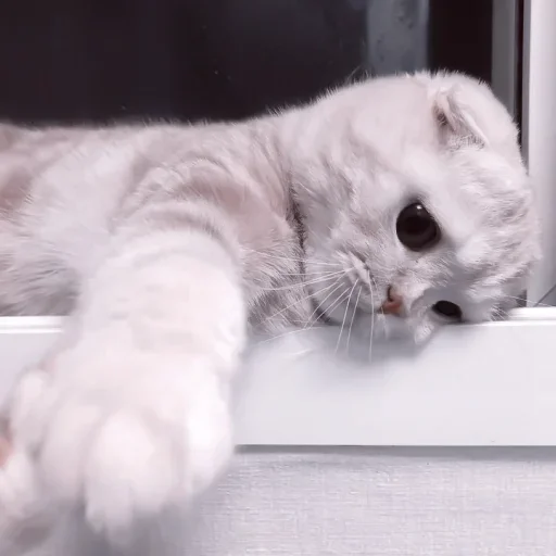 Sticker vdjvs_by_fStikBot - 1