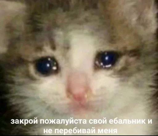 Sticker us :: @fStikBot - 10