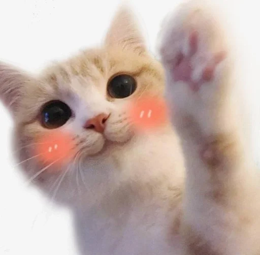 Sticker us :: @fStikBot - 9