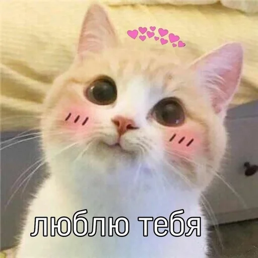 Sticker us :: @fStikBot - 5