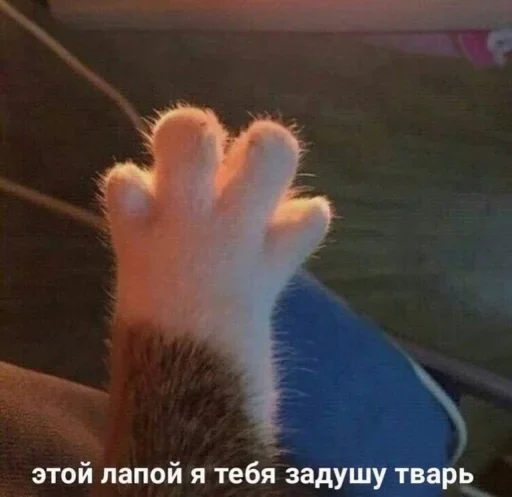 Sticker us :: @fStikBot - 4