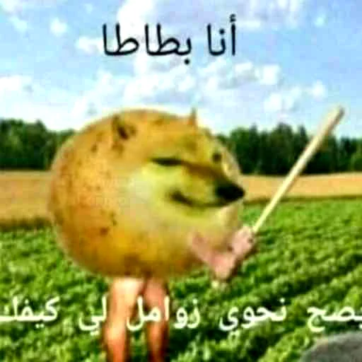 тебя сразу в дурку надо - 