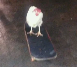 Стикер вечериночка - 4