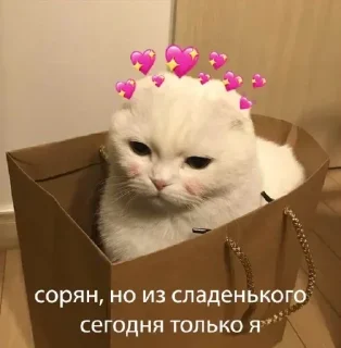 Sticker 💕 Стики тут: @Stickersloving - 4