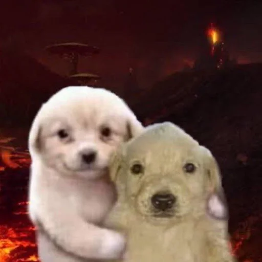 топ стикеры от гения @vekameow :: @fStikBot - animal