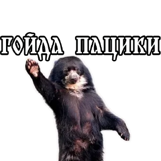 Sticker Велесов Уголок - 9