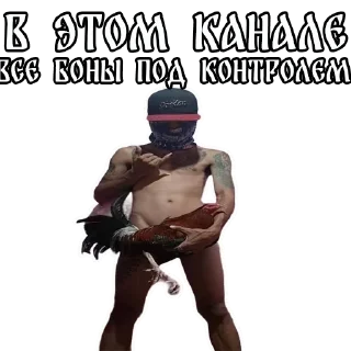 Sticker Велесов Уголок - 6