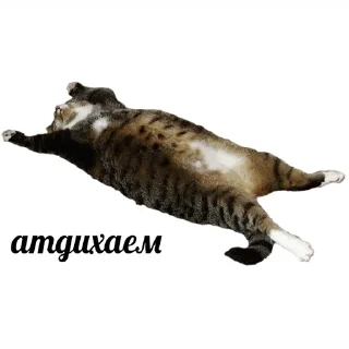 Sticker Великолепные стикеры - 6