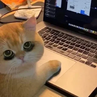 Sticker Великолепные стикеры - 2