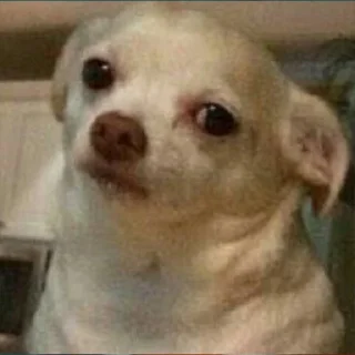 Sticker Великолепные стикеры - 4