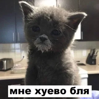 Sticker Великолепные стикеры - 11