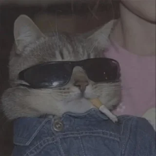 Sticker Великолепные стикеры - 10