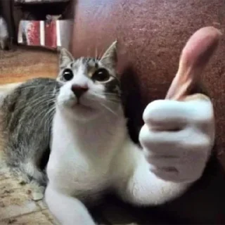 Sticker Великолепные стикеры - 1