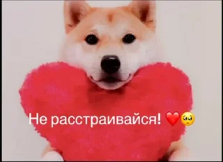 Sticker ВЕРИМч2 - 7