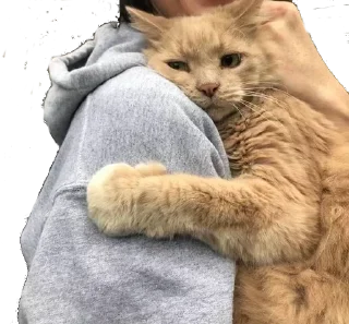 Sticker @VerrDi_stat - 10