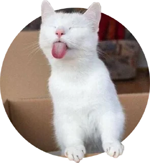 Sticker @VerrDi_stat - 11