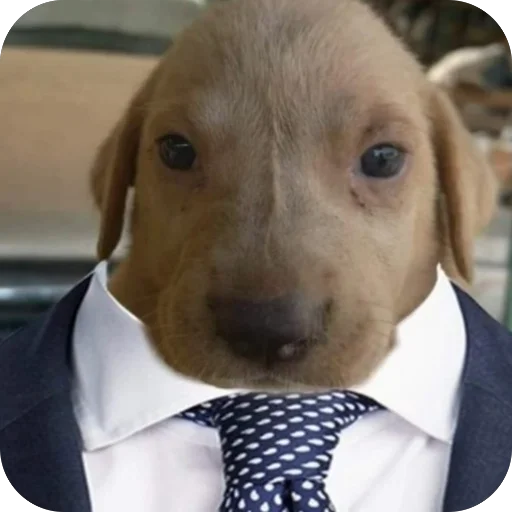 💋💅🏻very busy🤭🫦 - 