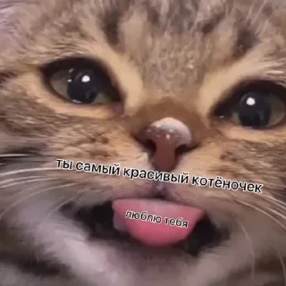 Sticker Больше стиков тут: @gostikers - 3