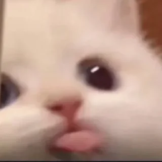 Sticker Больше стиков тут: @gostikers - 8