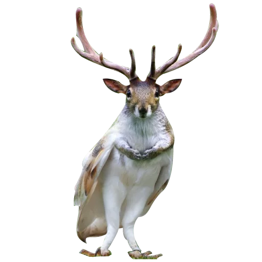 Стикер verystrangeanimals - 1