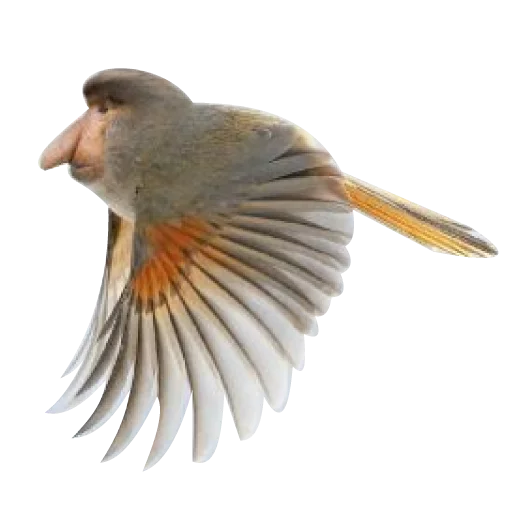 Sticker verystrangeanimals - 1