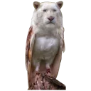 Sticker Pyrlyk, don't worry, be happy - 11