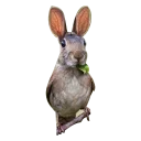 Sticker Pyrlyk, don't worry, be happy - 8