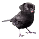 Sticker Pyrlyk, don't worry, be happy - 6