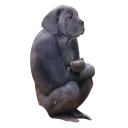 Sticker Pyrlyk, don't worry, be happy - 0