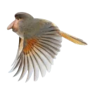 Sticker Pyrlyk, don't worry, be happy - 1