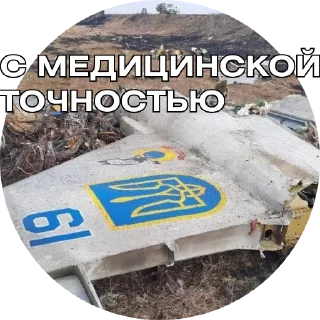 Sticker весна Z - 5