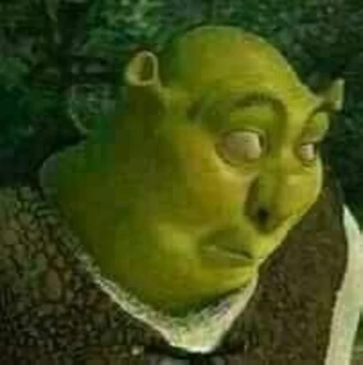 reef yellow underwater