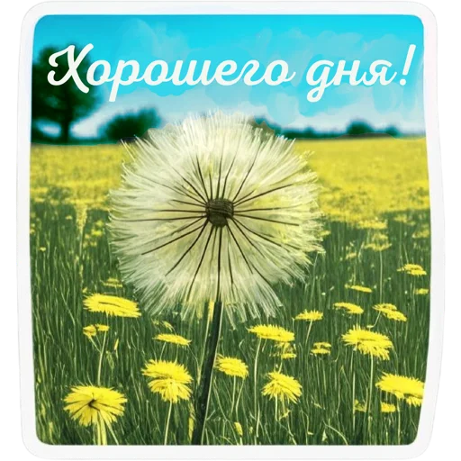 Весна: @umamari - 