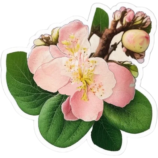 Стикер vesnaumamari - 1