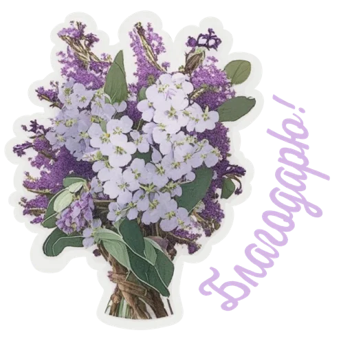 Стикер vesnaumamari - 1