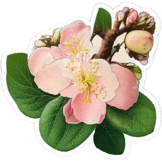 Sticker Весна: @umamari - 8