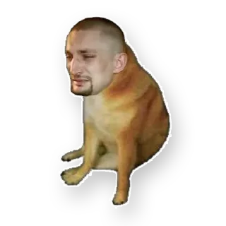 Стикер @vettox_highlights - 6