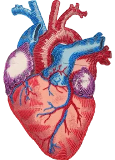 Стикер lenavenarena - 2