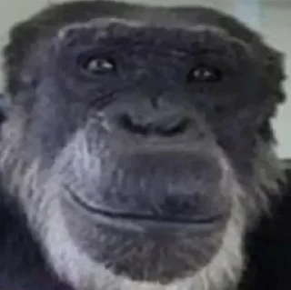 Sticker @sexstikkers - 9