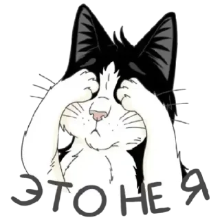 Sticker vht_LLjDAG - 2