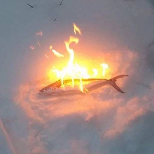 облако жара рыба