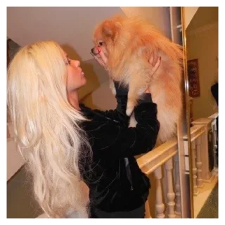 Sticker vibe 2016💅@stickersforyourlife - 8