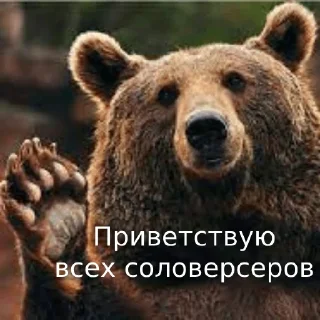 Стикер Хмельный пак - 7