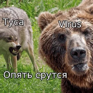 Стикер Хмельный пак - 0