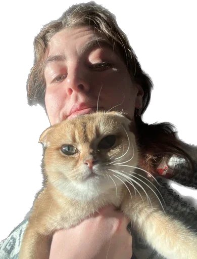 Стикер vidishbashnu - 1